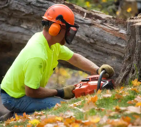 tree services Mayodan